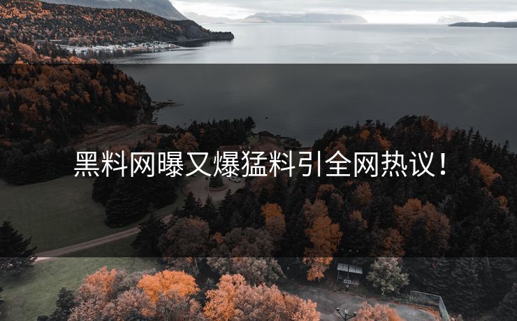 黑料网曝又爆猛料引全网热议！