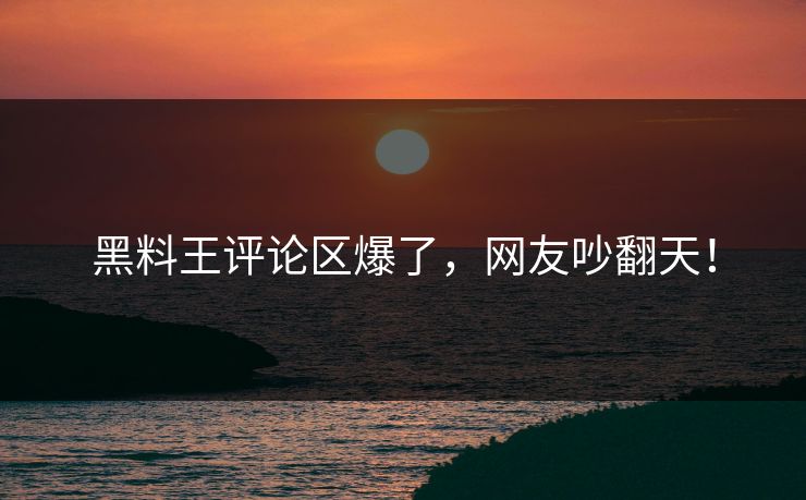 黑料王评论区爆了，网友吵翻天！