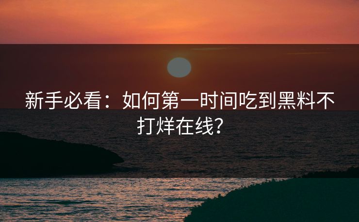 新手必看：如何第一时间吃到黑料不打烊在线？