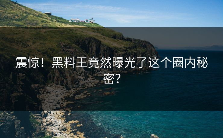 震惊！黑料王竟然曝光了这个圈内秘密？