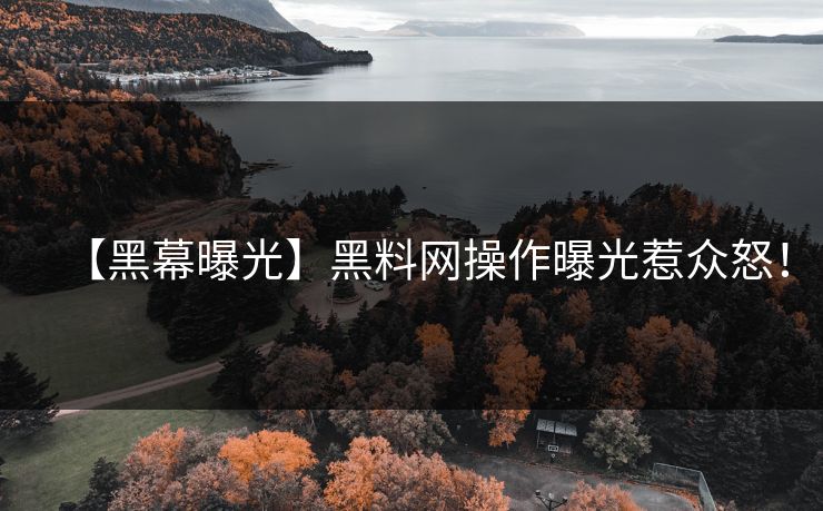 【黑幕曝光】黑料网操作曝光惹众怒！