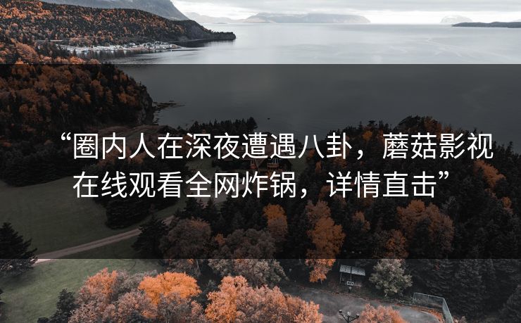 “圈内人在深夜遭遇八卦，蘑菇影视在线观看全网炸锅，详情直击”