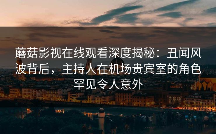 蘑菇影视在线观看深度揭秘：丑闻风波背后，主持人在机场贵宾室的角色罕见令人意外
