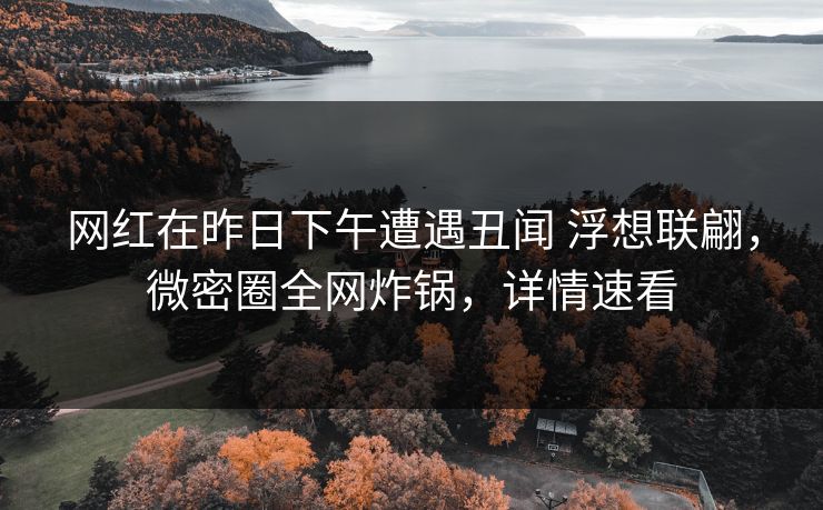 网红在昨日下午遭遇丑闻 浮想联翩，微密圈全网炸锅，详情速看